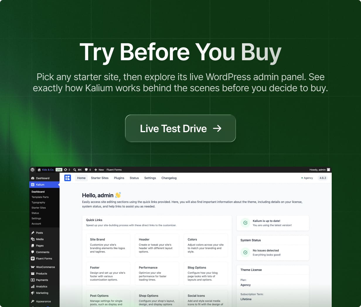 Kalium 3 | Creative Theme for Professionals