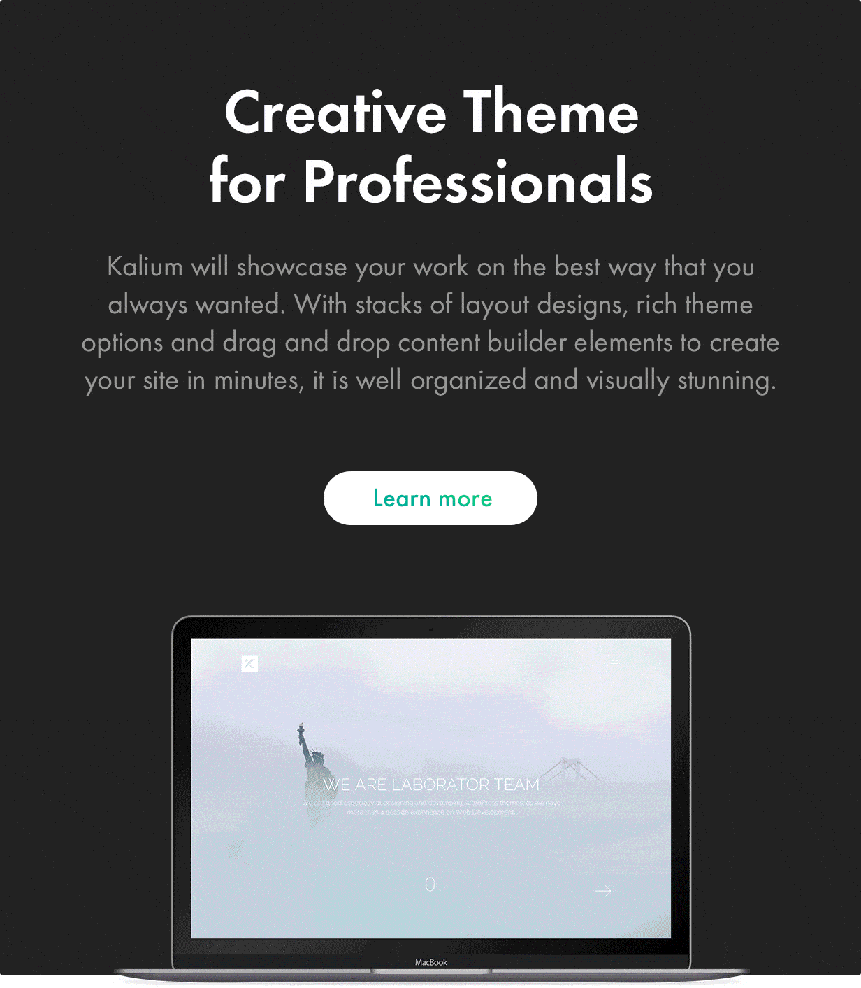 Kalium — Creative Multipurpose WordPress Theme for Professionals